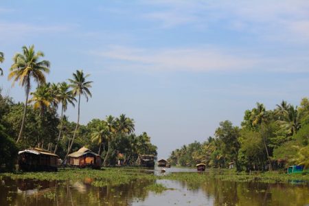 Redcastle Houseboat Alleppey (2)